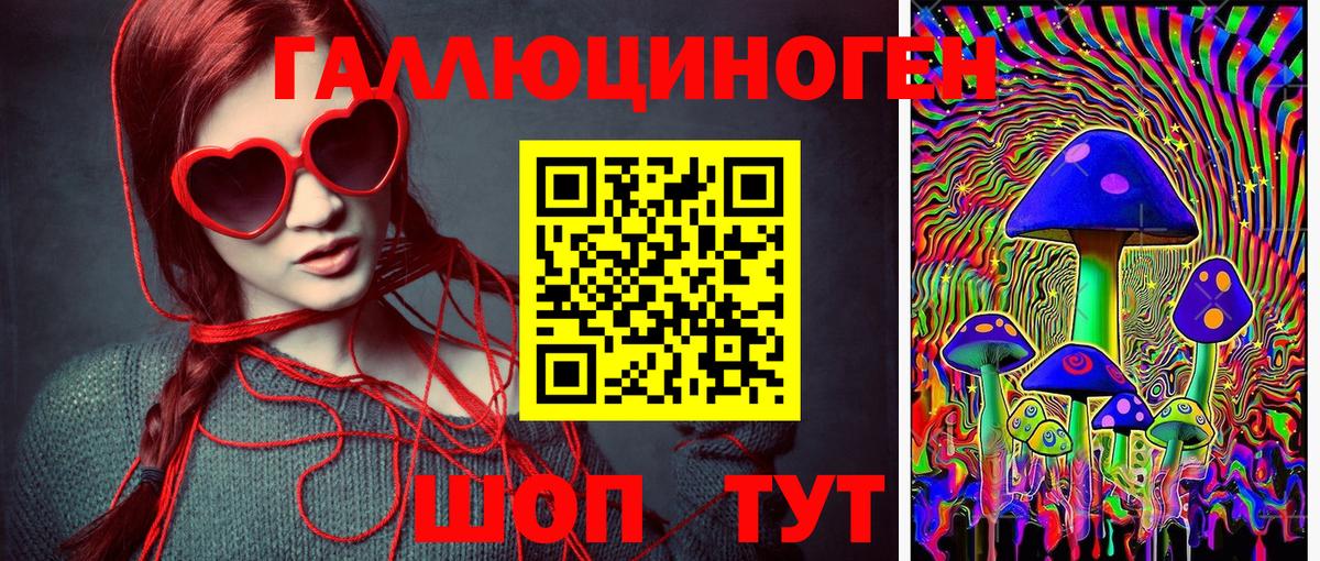 Галлюциногенные грибы MAGIC MUSHROOMS  Вход с VPN  Мытищи 