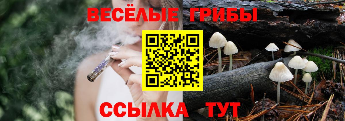 Галлюциногенные грибы Psilocybe Мытищи