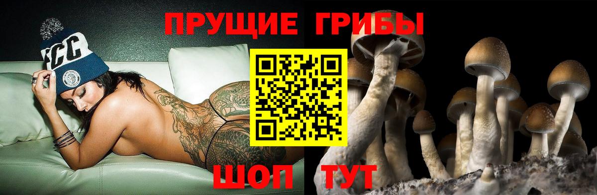 ГАШИШ  Мытищи  ЭКСТАЗИ  COCAIN  МЕФ   Марихуана  Канабис  MDMA  Вход с VPN  Кодеин 